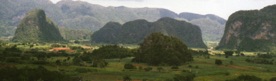 VALLEE DE VINALES : chaque m&eacute;gote a ses caract&eacute;ristiques propres